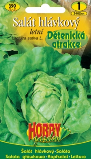 Salát hlávkový letní, Dětenická atrakce (semena)