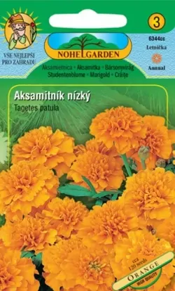 Aksamitník rozkladitý plnokvětý, oranžový (semena)