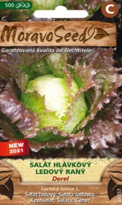 Salát hlávkový ledový raný, Derel (semena)