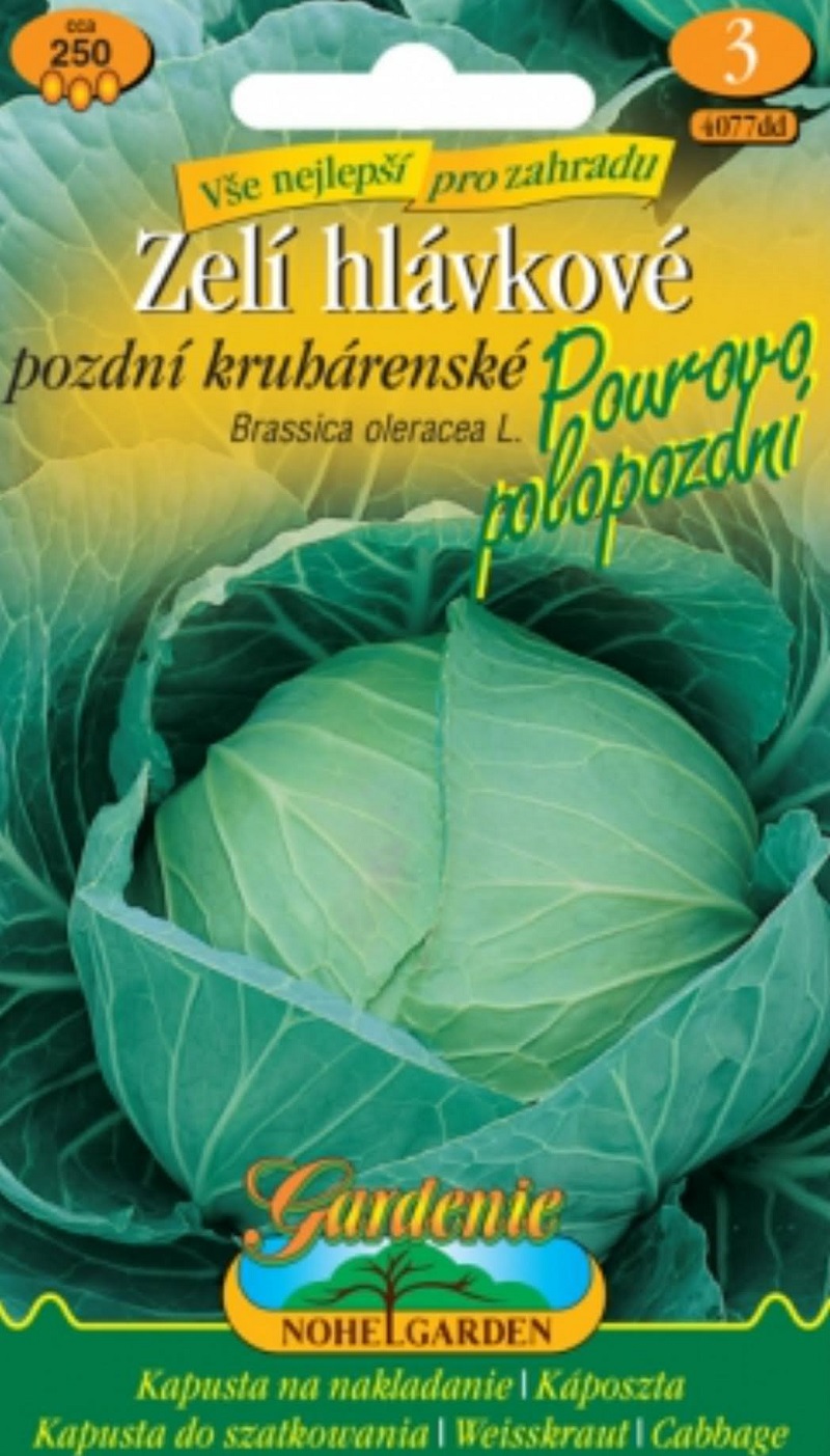 Zelí hlávkové, Pourovo polopozdní (semena)