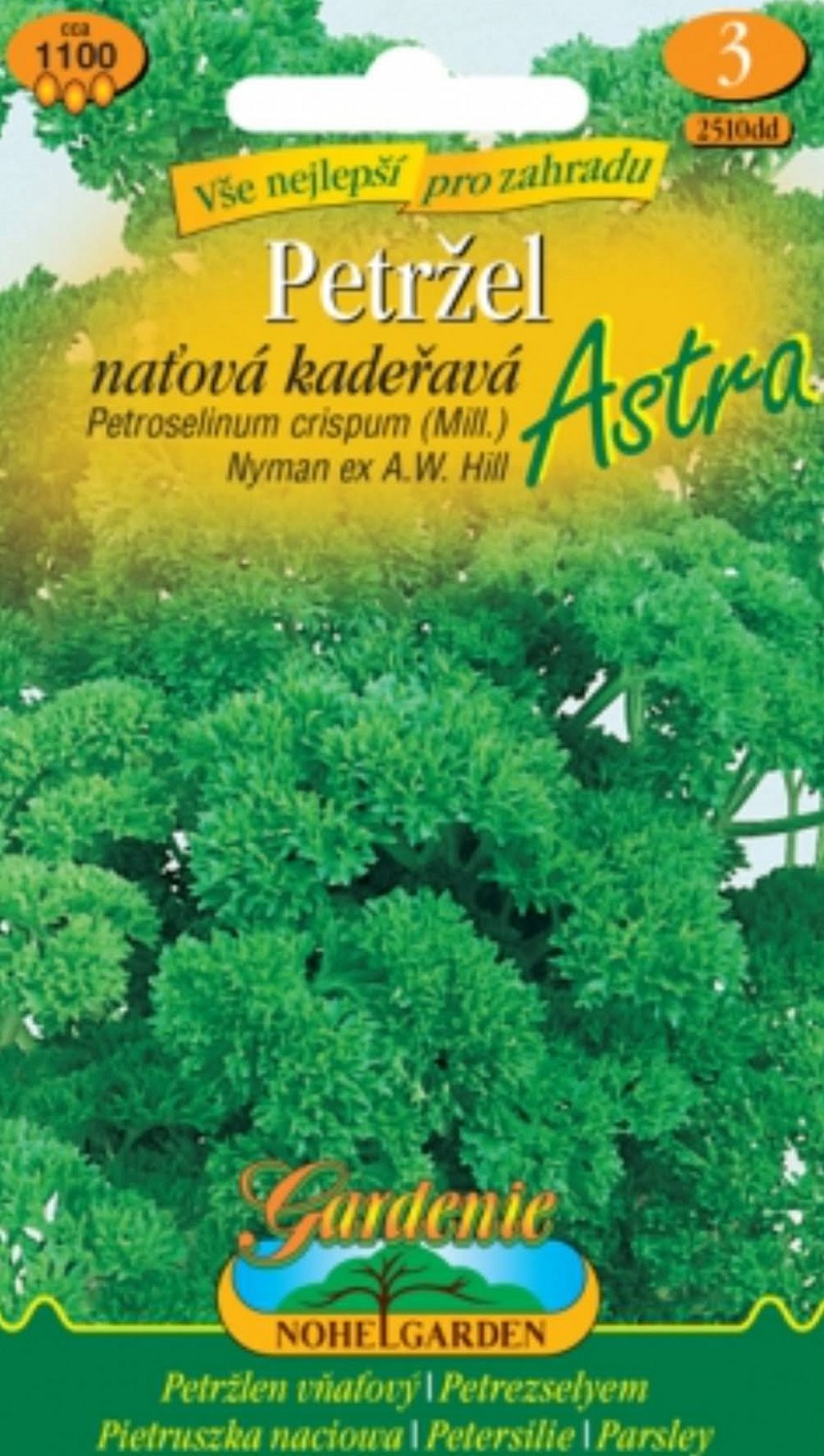 Petržel kaděřavá, Astra (semena)
