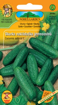 Okurka nakládačka, Santana (semena)