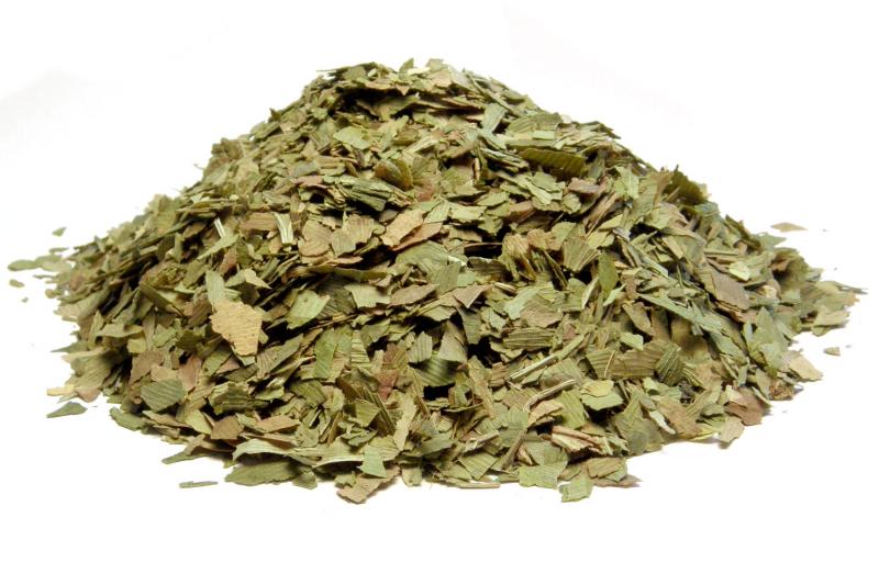 Ginkgo biloba listy, drcené (100g)