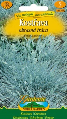Kostřava okrasná tráva (semena)