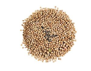 Koriandr celý (100g)