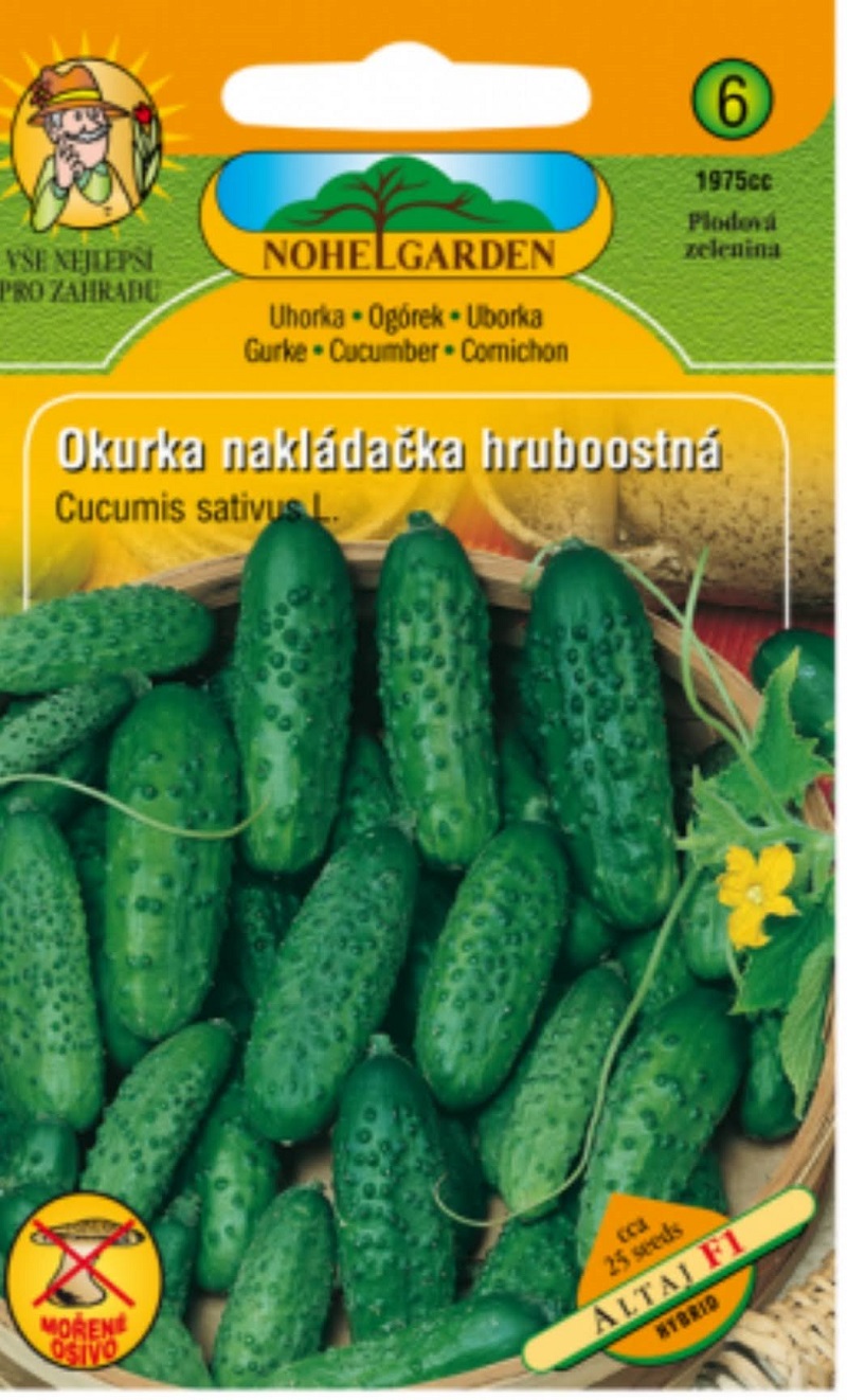 Okurka nakládačka, Altaj (semena)