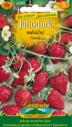 Jahodník měsíční, Fragaria (semena)