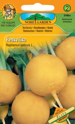 Ředkvička kulatá, Zlatá (semena)
