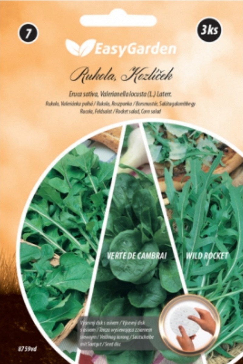 Rukola, Roketa Wild Roket, Kozlíček 3ks (výsevný disk)