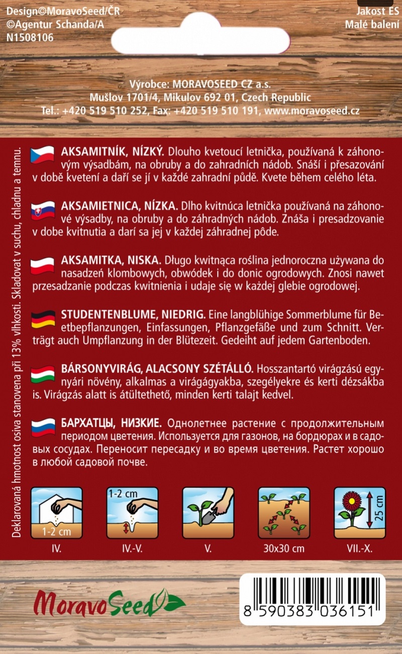 Aksamitník rozkladitý plnokvětý oranžovo-hnědý (semena)