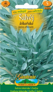 Šalvěj lékařská (semena)