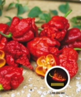 Chilli paprička Carolina reaper (semena)