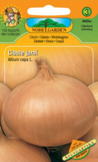 Cibule jarní Štutgartská (semena)