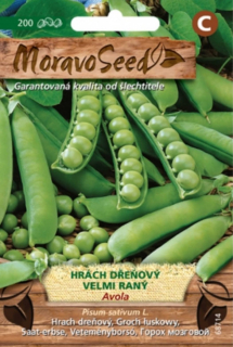 Hrách dřeňový velmi raný, Avola (semena)