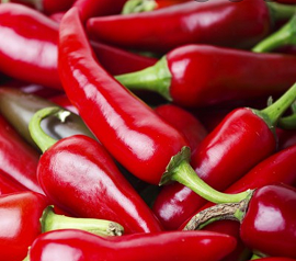 Chilli paprička Saltillo (semena)