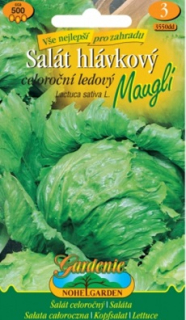Salát hlávkový ledový, Mauglí (semena)