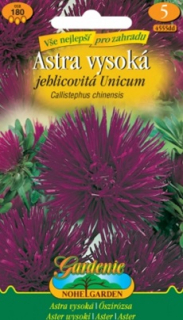Astra vysoká jehlicovitá, fialová (semena)