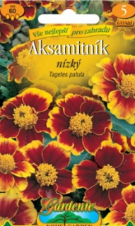 Aksamitník rozkladitý nízký, hnědo-žlutý (semena)