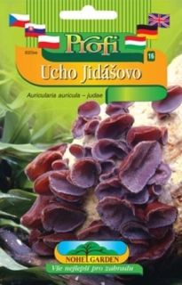 Jidášovo ucho, sadba