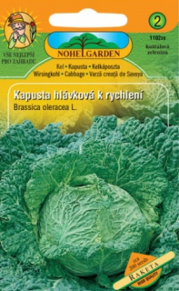 Kapusta hlávková k rychlení Raketa (semena)